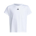 white_5677