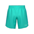 turquoise_5808