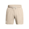Rival Terry 6in Shorts Men-Brown