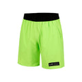 Ace Iconic Shorts Men - light green,