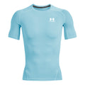 blue_5727