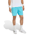 turquoise_5808