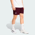 7Inch Ergo Shorts Men - wine red