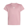antique pink_34467