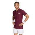 wine red_34765