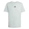 Climacool Identitiy Graphic T-Shirt Men-sage
