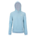 Team Terry Hoody Unisex - light blue