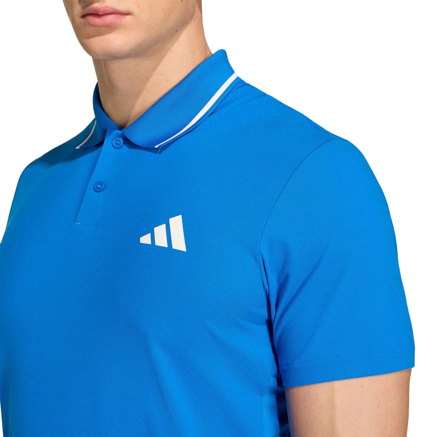 P000000516020100_16.jpg