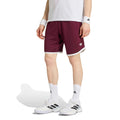 Classics 9Inch Shorts Men - wine red, white