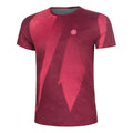 dark red_5856