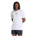 white_5677
