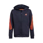 adidas AeroReady 3S Hoody