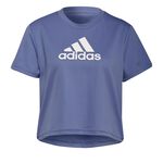 adidas Big Logo Crop Tee Women