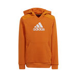 adidas Badge of Sports Hoody