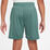 Dri-Fit Graphic Shorts