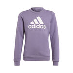 adidas Big Logo Sweatshirt