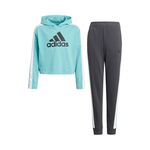 adidas Hooded Crop Tracksuit