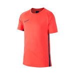 Nike Dry Academy Tee