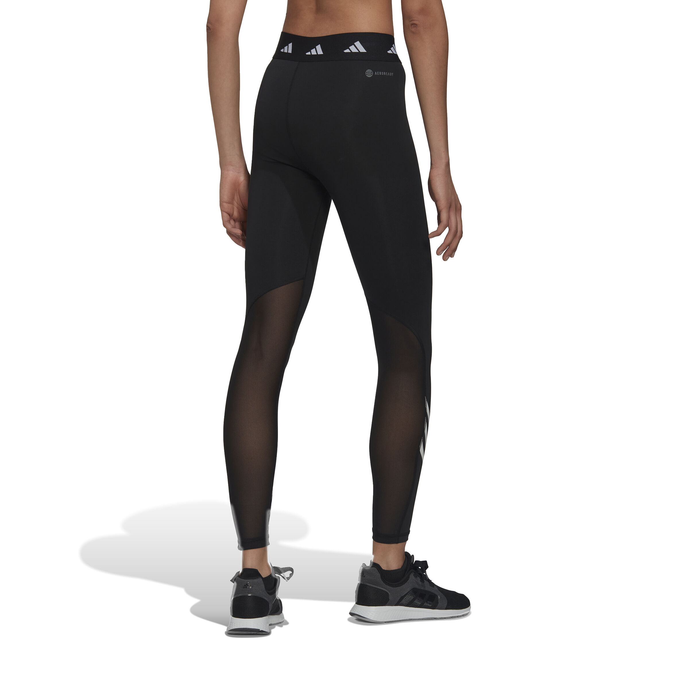 Adidas alphaskin 2025 long tight