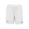Shorts Lebron