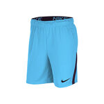 Nike Dri-FIT Training Shorts Men