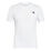 Ss T-Shirt Icon