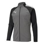 Puma Team Liga Training Jacket