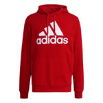 adidas Big Logo Future Icons Hoody