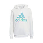 adidas Essential Big Logo Hoody Boys