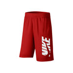 Nike Dri-Fit Shorts Boys