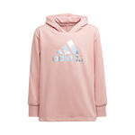 adidas Move Hoody