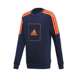 adidas 3-Stripes Crew Hoody Boys