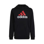 adidas Big Logo 2 Hoody