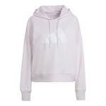 adidas Future Icons Sports Sweatshirt Hoody