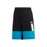 adidas Training Colourblock Shorts Boys