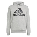 adidas Big Logo Future Icons Hoody