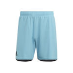 adidas World Cup Shorts