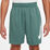 Dri-Fit Graphic Shorts