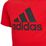Big Logo Tee