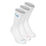 Everyday Plus Cushioned Socks