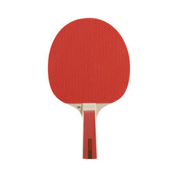 D TT BT NITRO