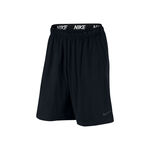Nike Shorts Men