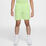 Dri-Fit Shorts