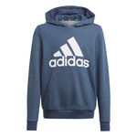 adidas Essential Big Logo Hoody Boys