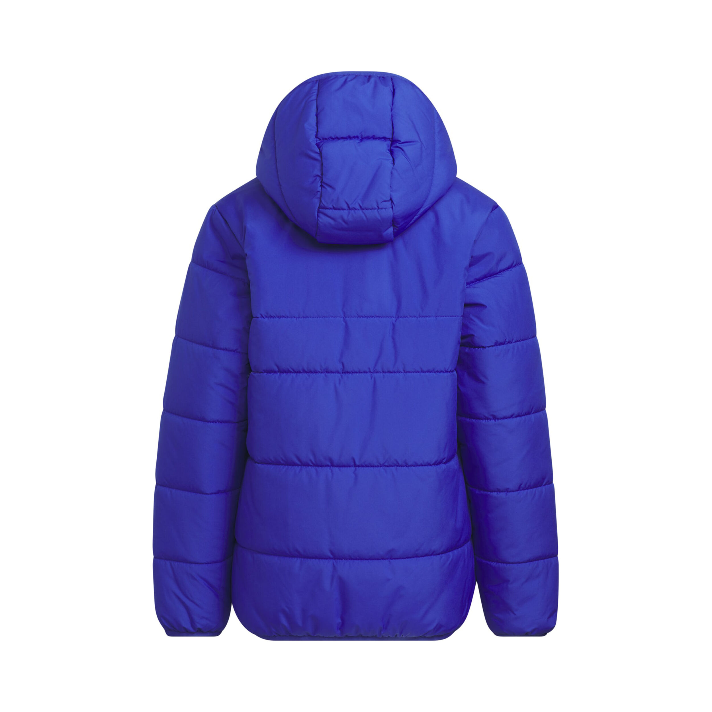 Blue padded jackets sale