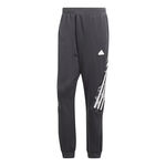 adidas Future Icon AOP Q4 Pants