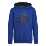 adidas Essential Big Logo Hoody Boys