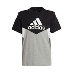 adidas Color Block T-shirt Essentials