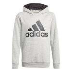 adidas Essential Big Logo Hoody Boys