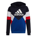 adidas Color Block Fleece Hoody